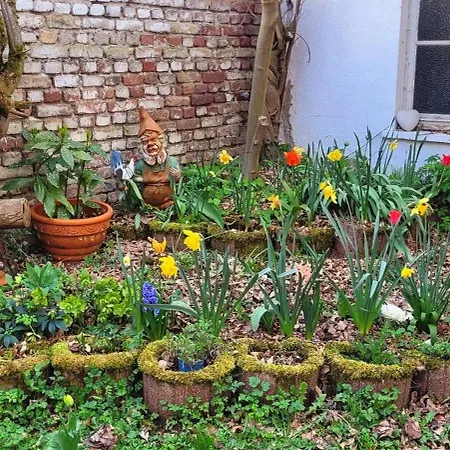 Urlaub Am Rhein, Mit Garten *