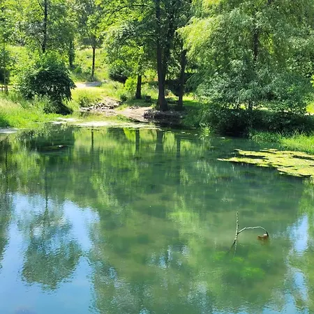 Urlaub Am Rhein, Mit Garten