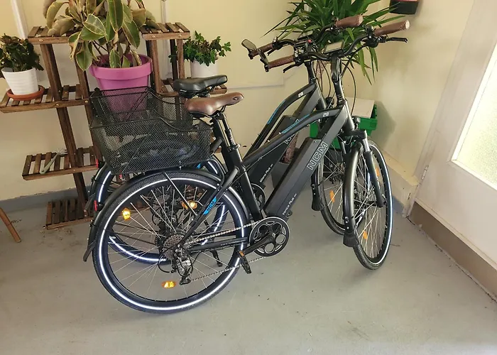 Urlaub Am Rhein, Mit Garten * Boppard