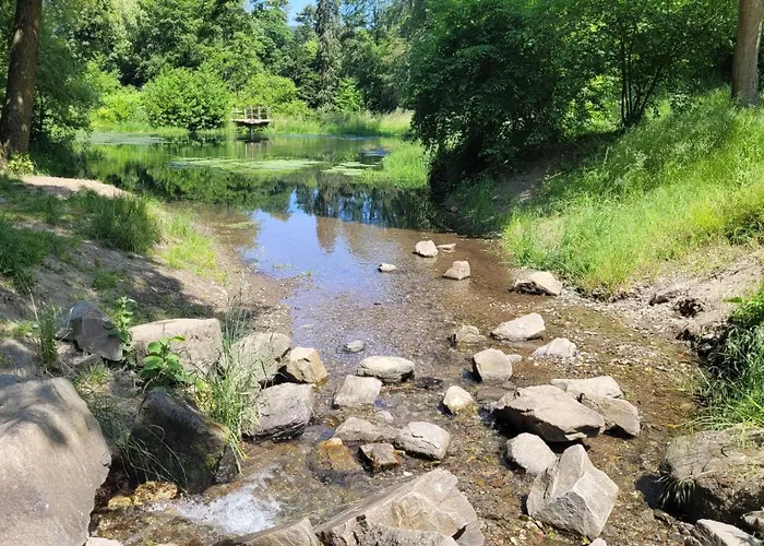 Urlaub Am Rhein, Mit Garten Lejlighed